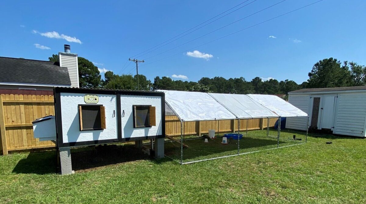 The Beginning of the Journey