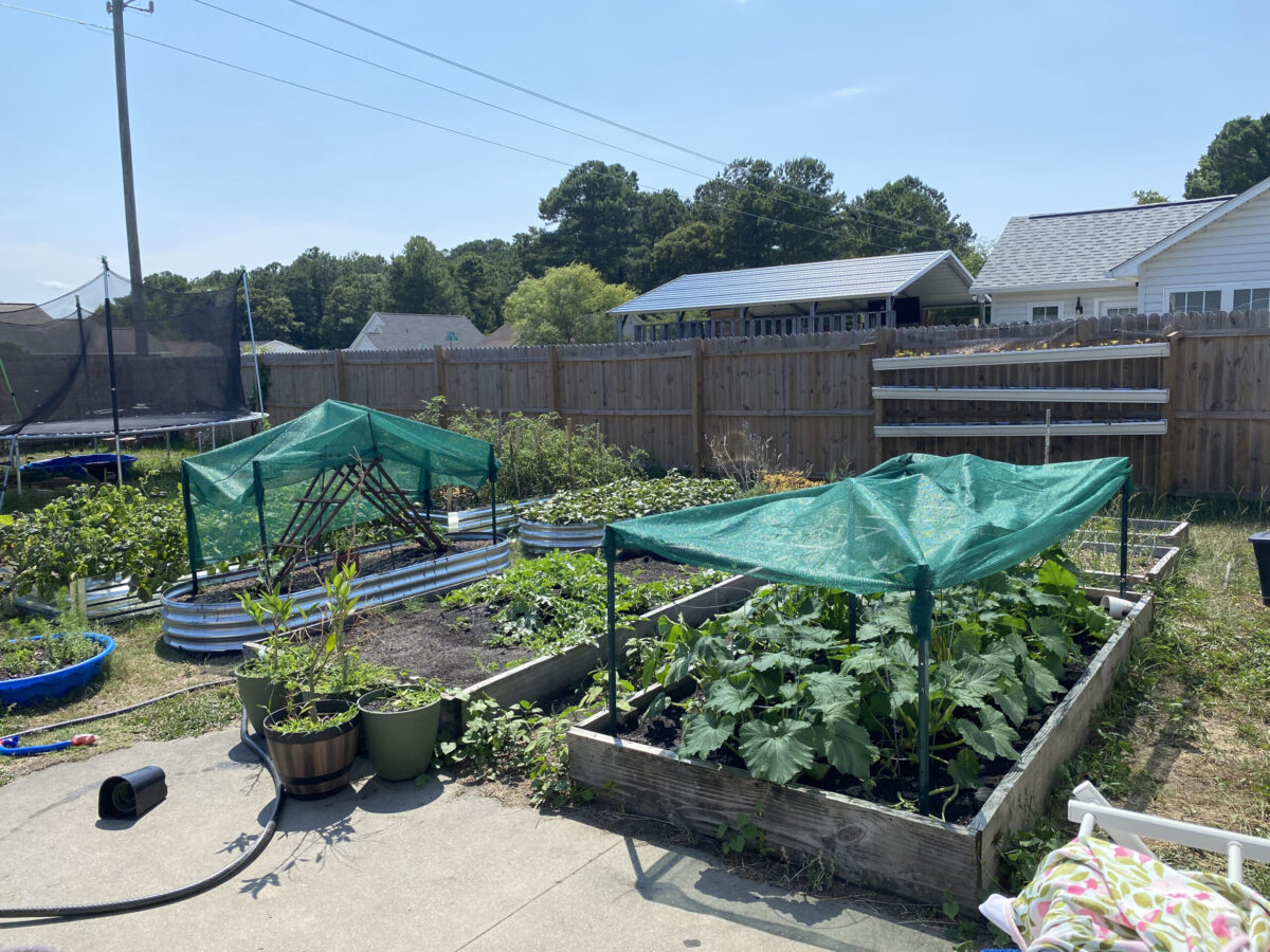 Overcoming New Problems on the Homestead